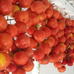 Tomate de ramellet