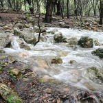 ruta per la naturalesa a Mallorca