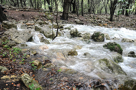 ruta per la naturalesa a Mallorca